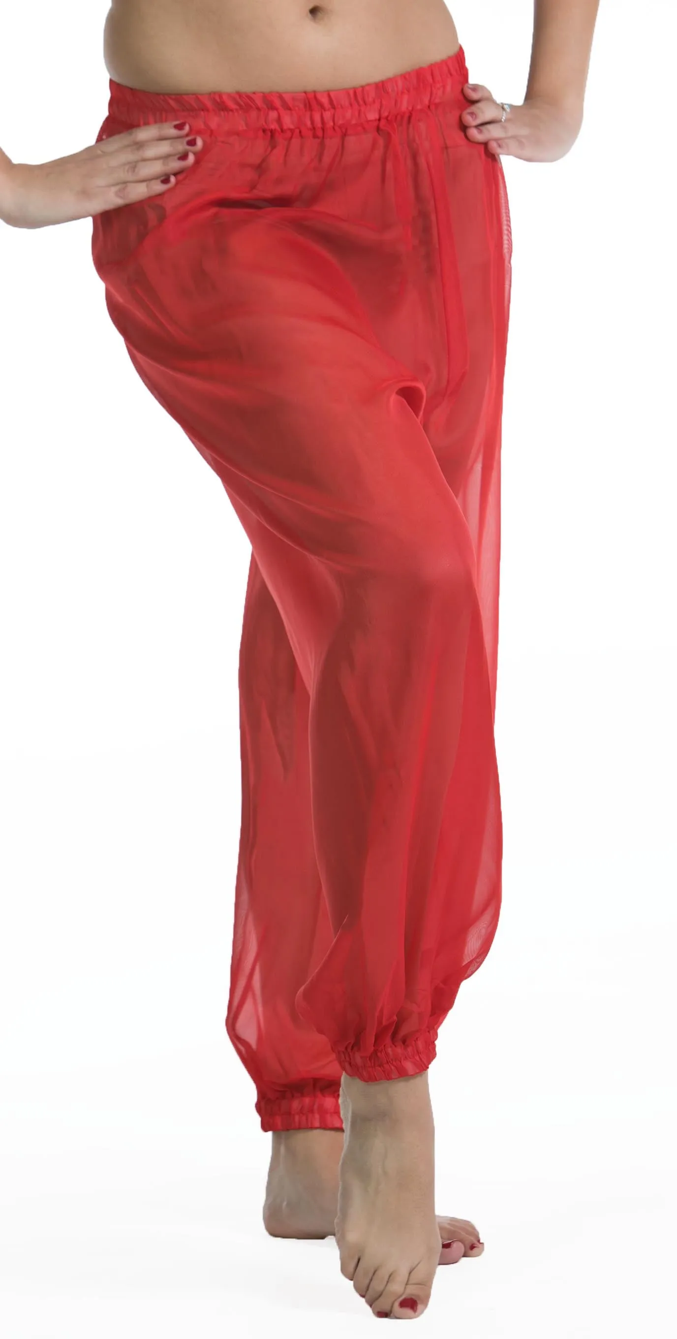 Belly Dancer Chiffon Harem Pants