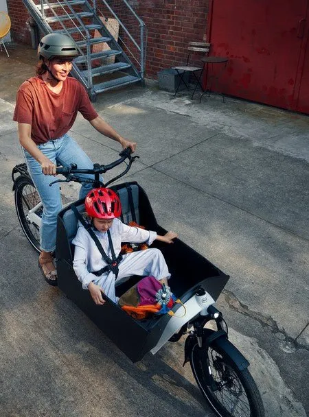 Riese and Muller Transporter 65 Electric Cargo Bike