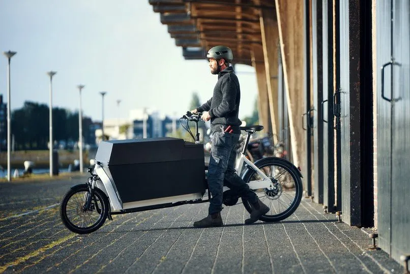 Riese and Muller Transporter 85 Electric Cargo Bike